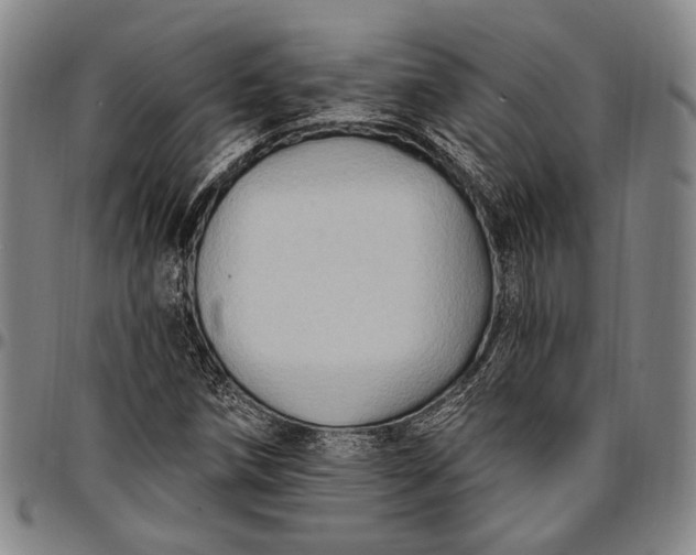 X0000096681258200802191344