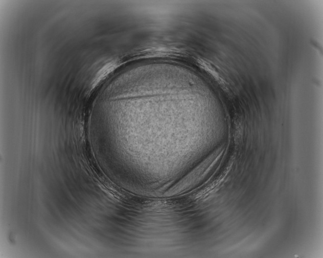 X0000096681259200802191344