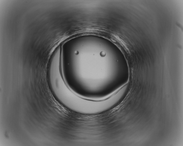 X0000096681260200802191344