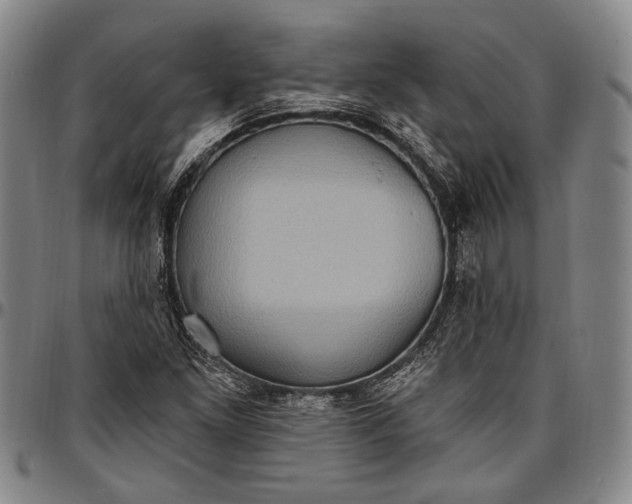 X0000096681261200802191344
