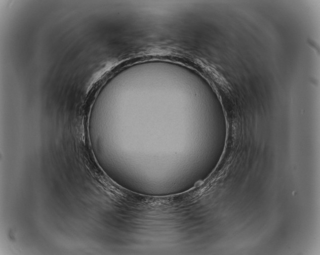 X0000096681262200802191344