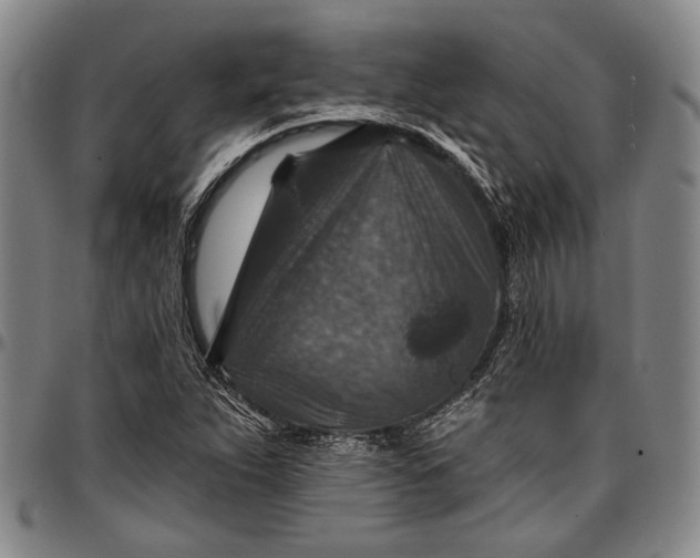 X0000096681263200802191344