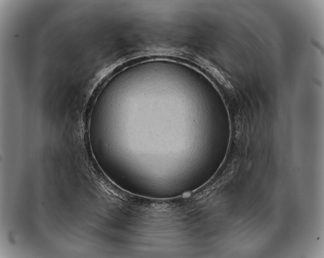 X0000096681264200802191344