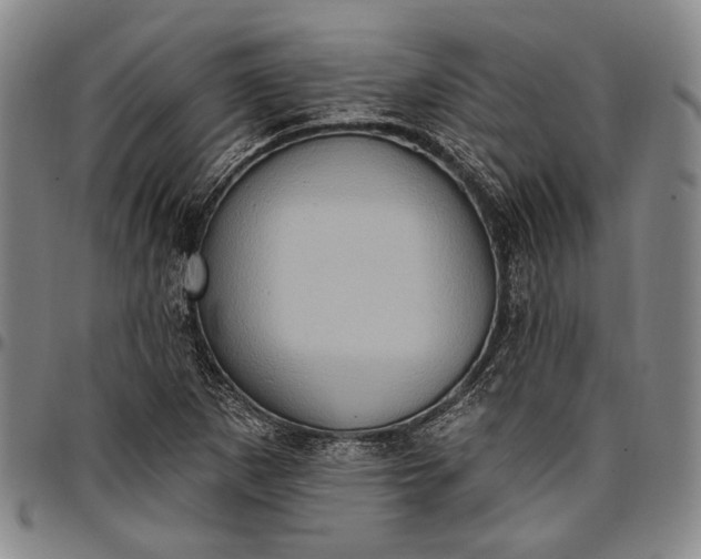X0000096681265200802191344