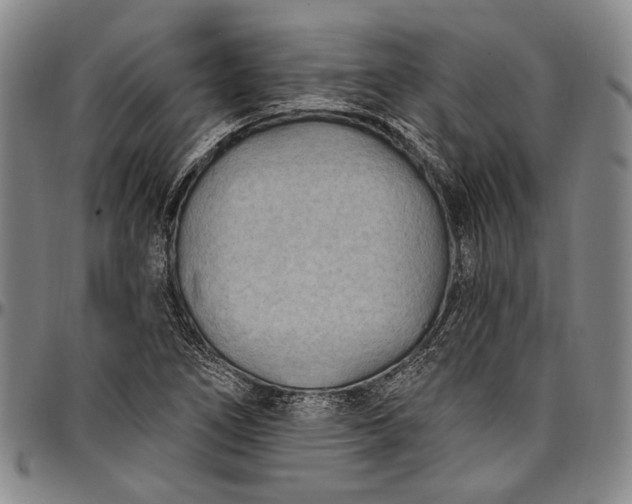 X0000096681266200802191344