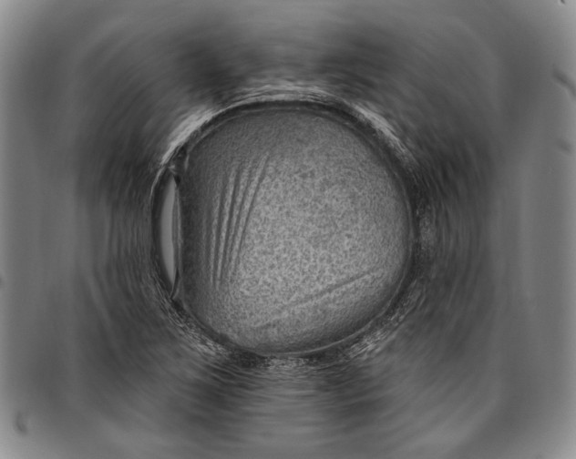 X0000096681267200802191344