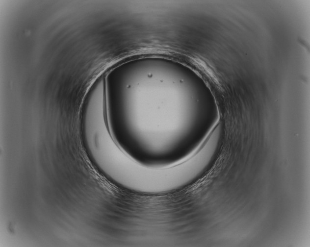 X0000096681268200802191344