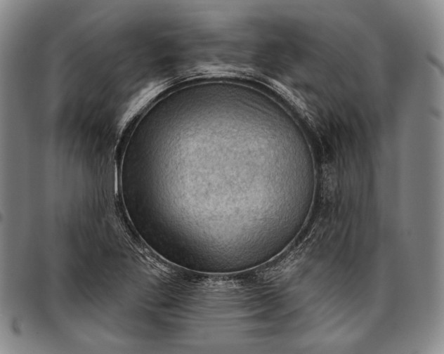 X0000096681269200802191344