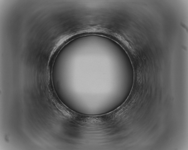 X0000096681270200802191344