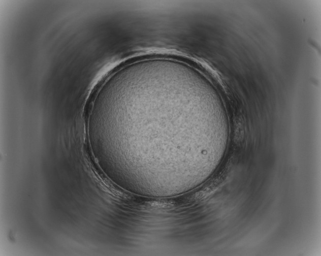 X0000096681271200802191344