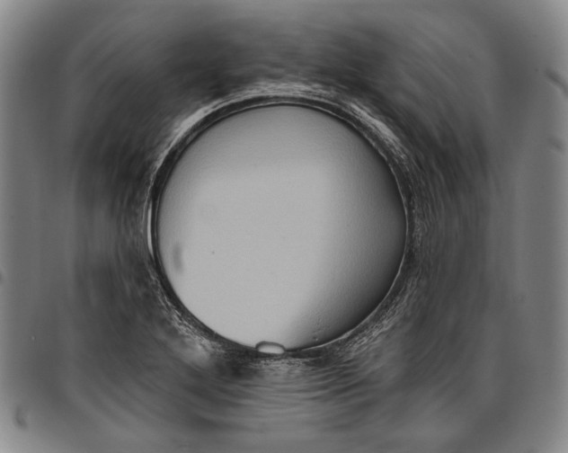 X0000096681272200802191344