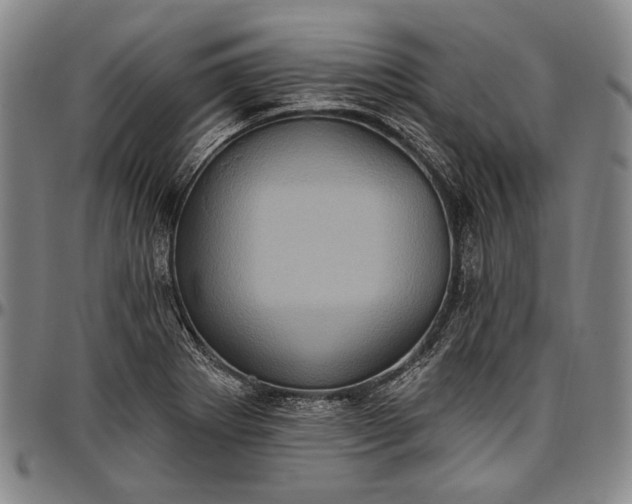 X0000096681273200802191344