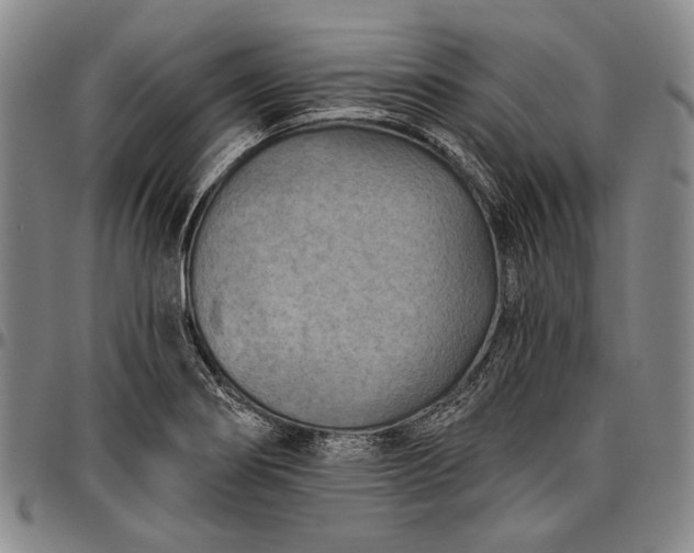 X0000096681274200802191344