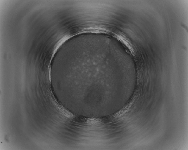 X0000096681275200802191344