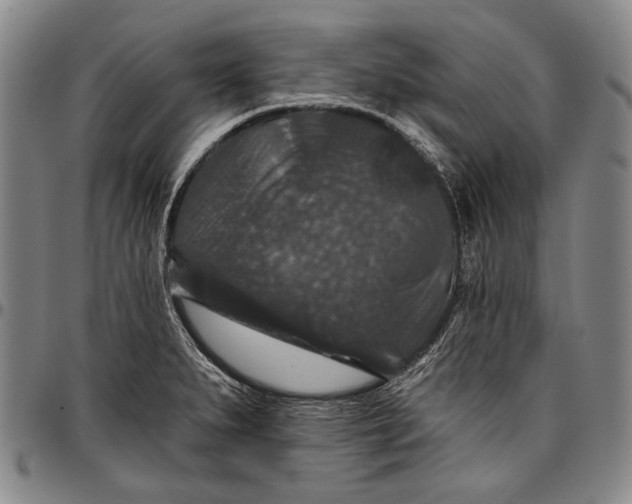 X0000096681279200802191344