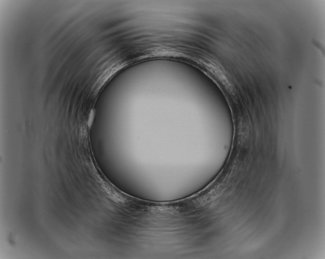 X0000096681281200802191344