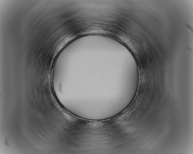 X0000096681282200802191344