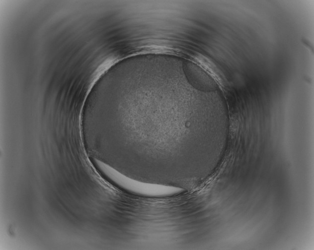 X0000096681283200802191344
