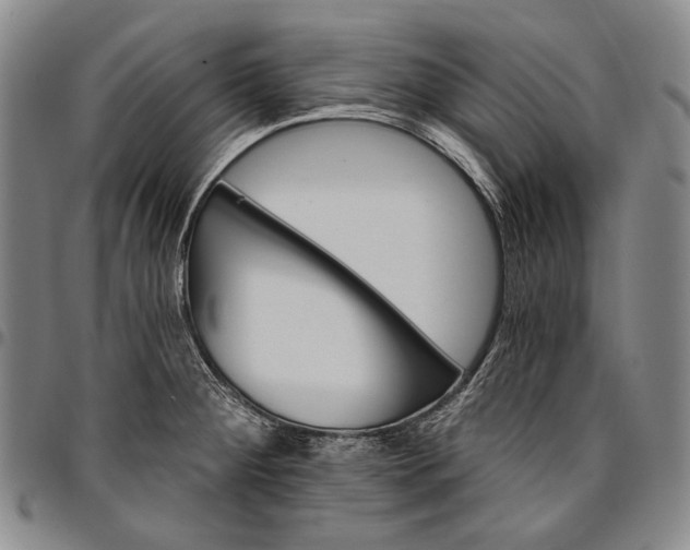 X0000096681284200802191344