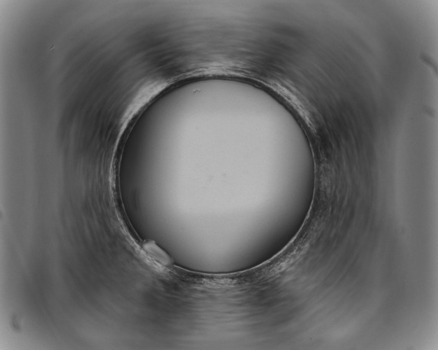 X0000096681285200802191344