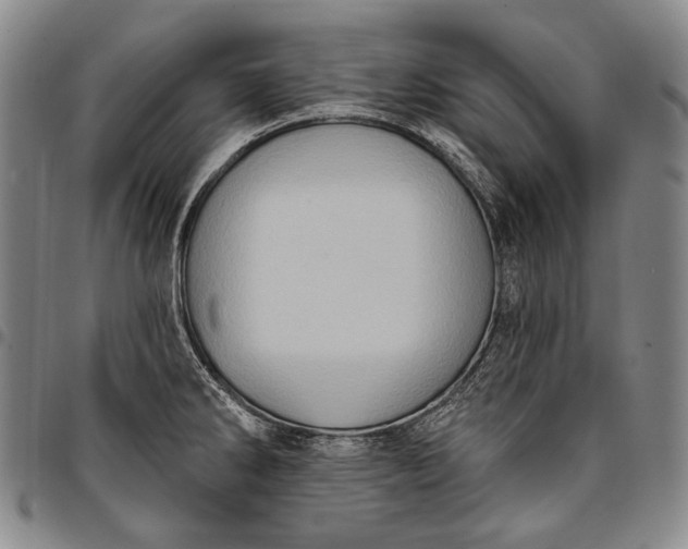X0000096681286200802191344