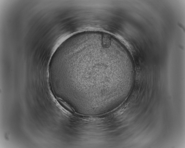 X0000096681287200802191344