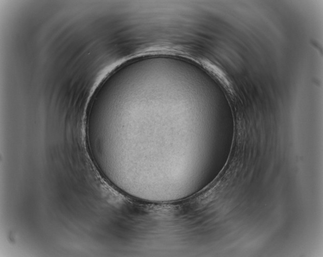 X0000096681288200802191344