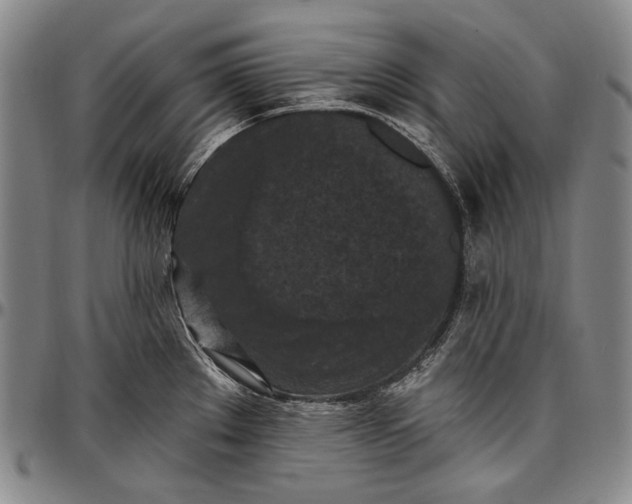X0000096681289200802191344