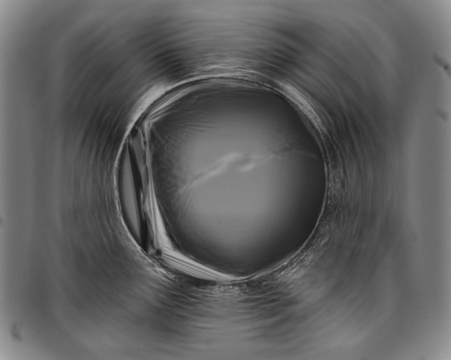 X0000096681291200802191344