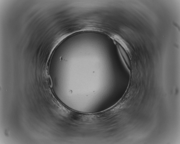 X0000096681292200802191344
