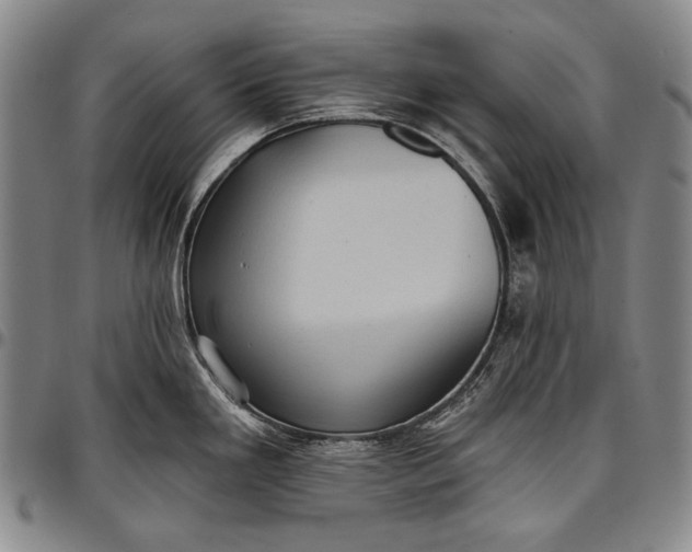 X0000096681293200802191344