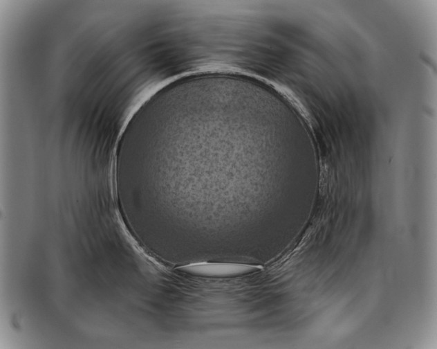 X0000096681295200802191344