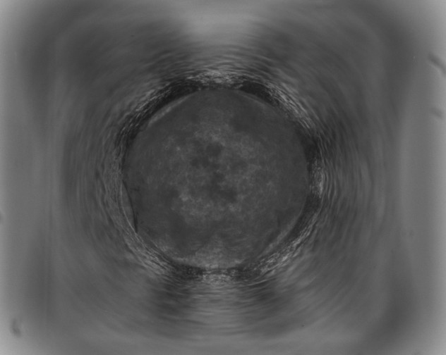 X0000096681297200802191343