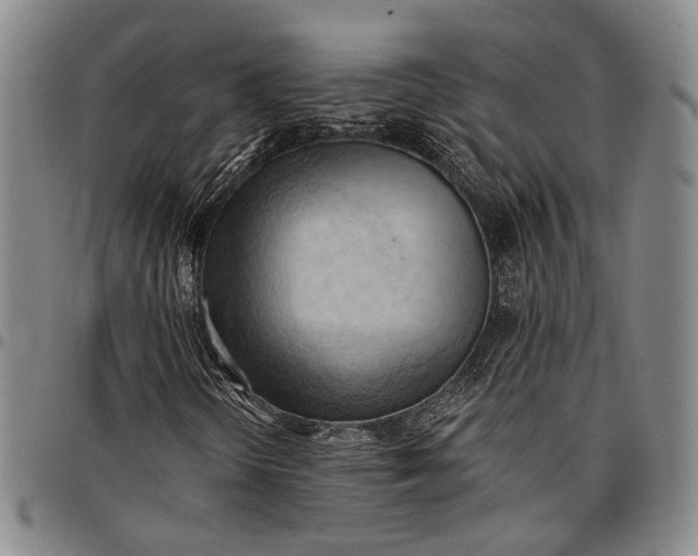 X0000096681298200802191343
