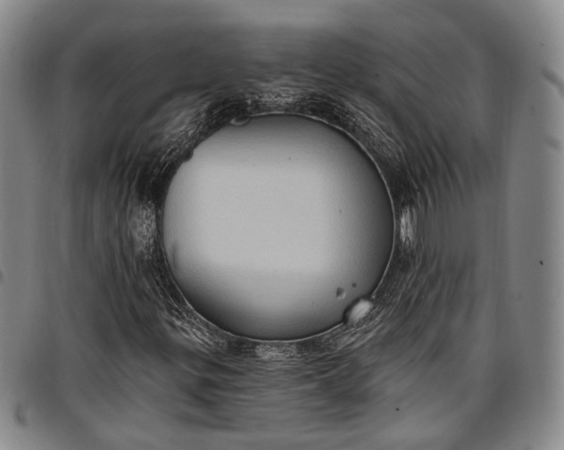 X0000096681299200802191343