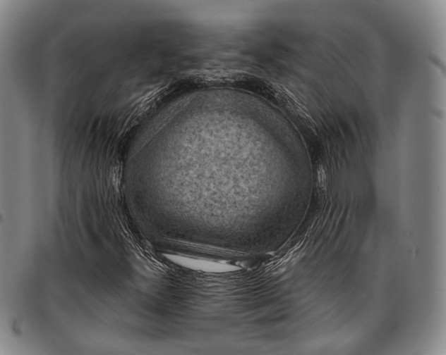 X0000096681300200802191343