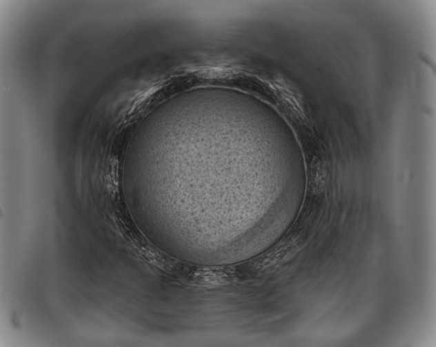 X0000096681301200802191343