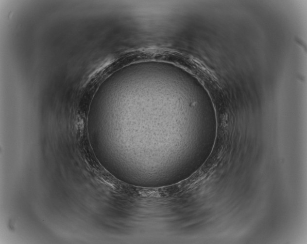 X0000096681302200802191343