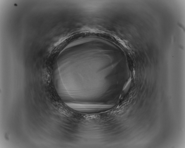 X0000096681303200802191343