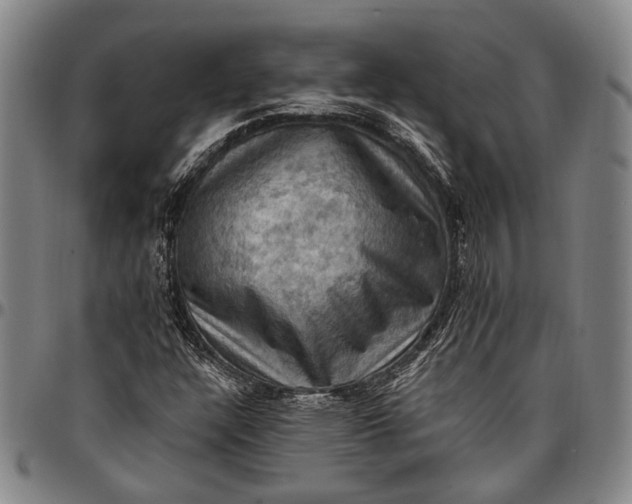 X0000096681304200802191343