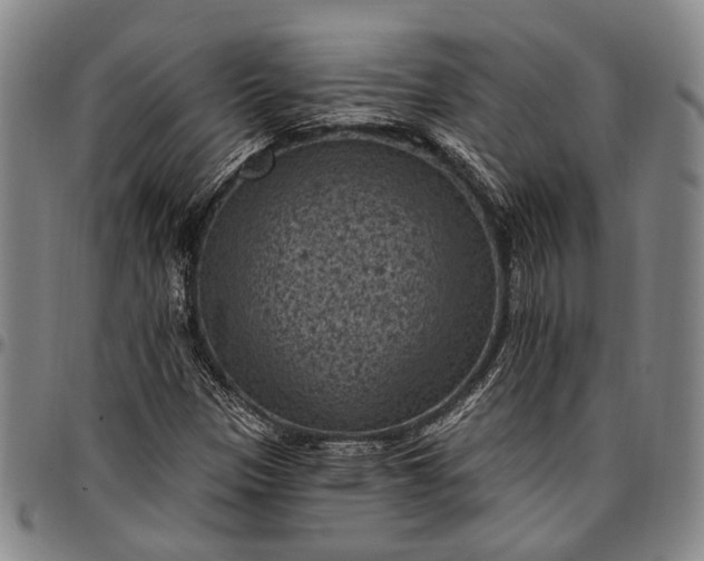 X0000096681305200802191343