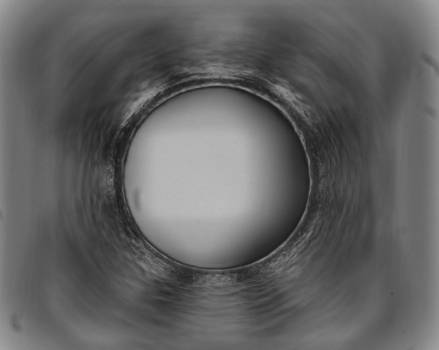 X0000096681307200802191343