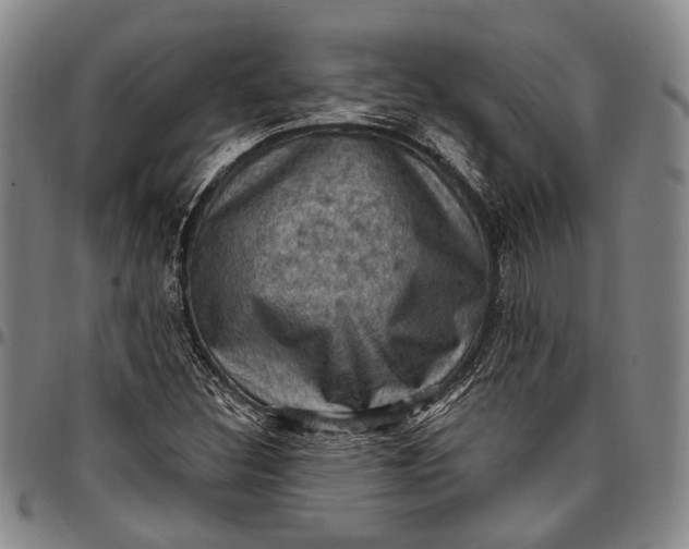 X0000096681308200802191343