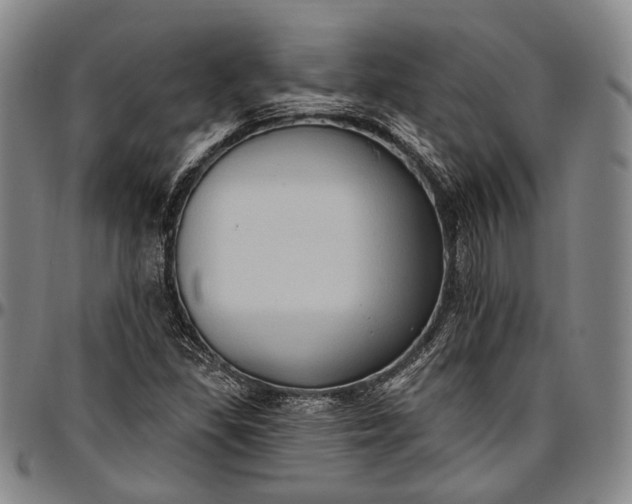 X0000096681309200802191343