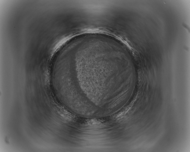 X0000096681311200802191343