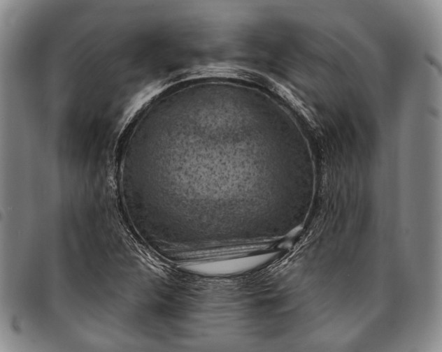 X0000096681312200802191343