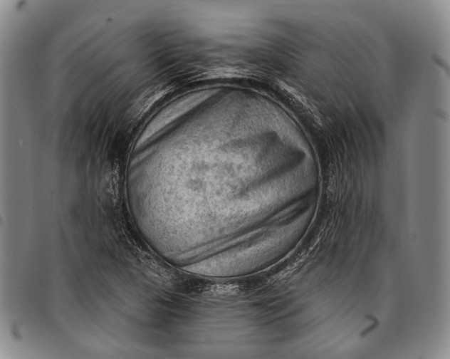 X0000096681313200802191343