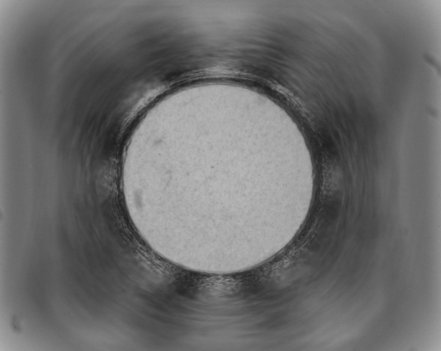 X0000096681314200802191343