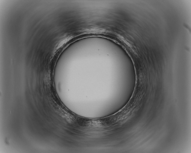 X0000096681315200802191343