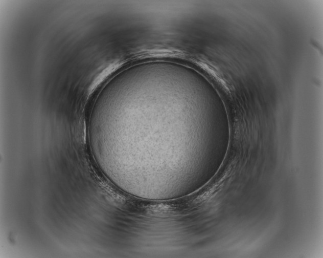 X0000096681317200802191343